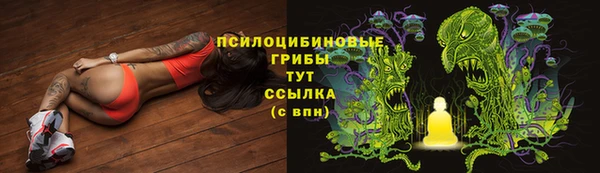 2c-b Гусь-Хрустальный