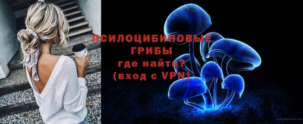 2c-b Гусь-Хрустальный