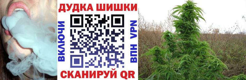 Купить закладки  Исилькуль  Бошки марихуана MAZAR 